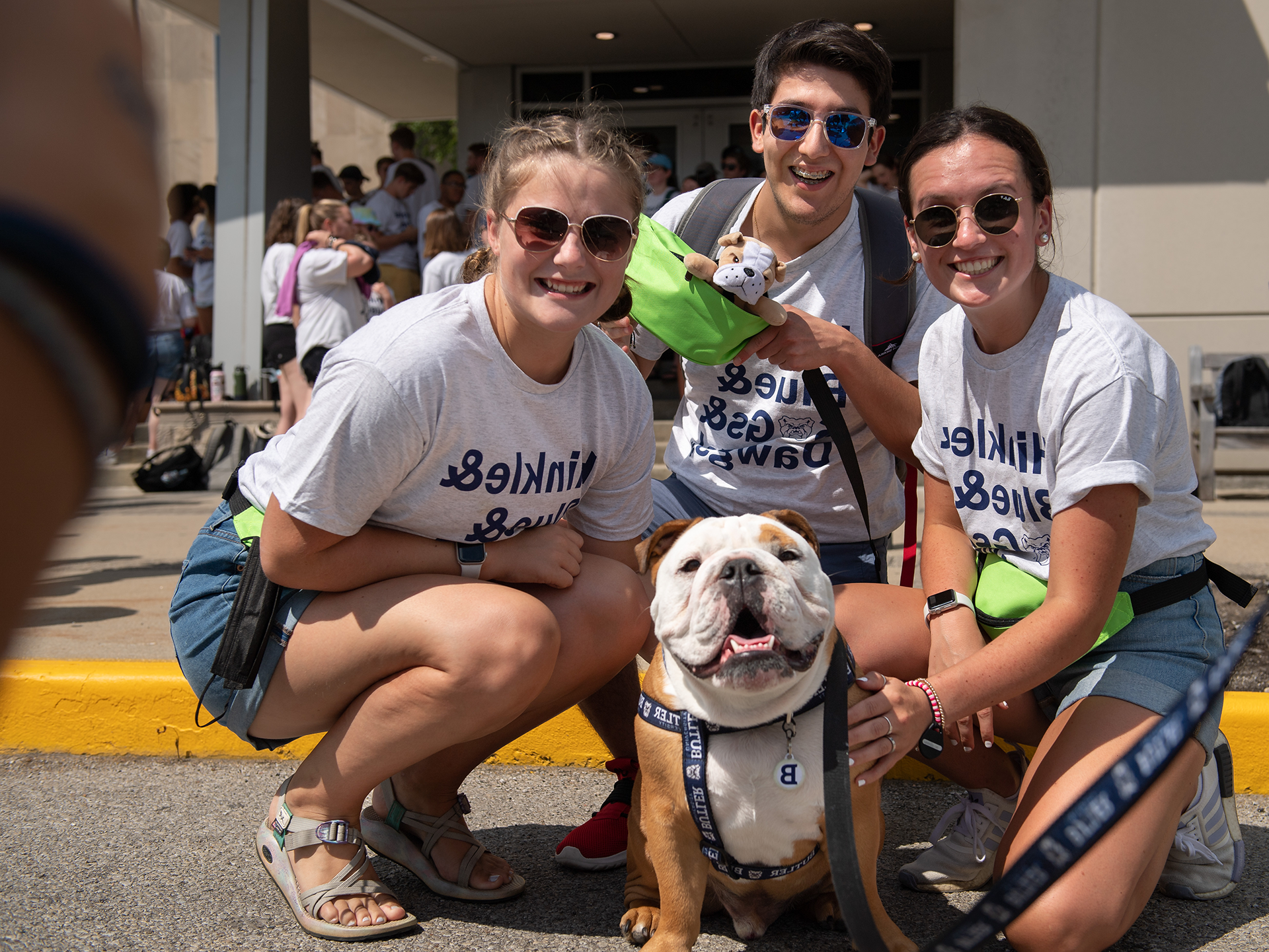 Bulldog in a 皇冠投注 harness and leash with 3 students around him in white t-shirts and sunglasses